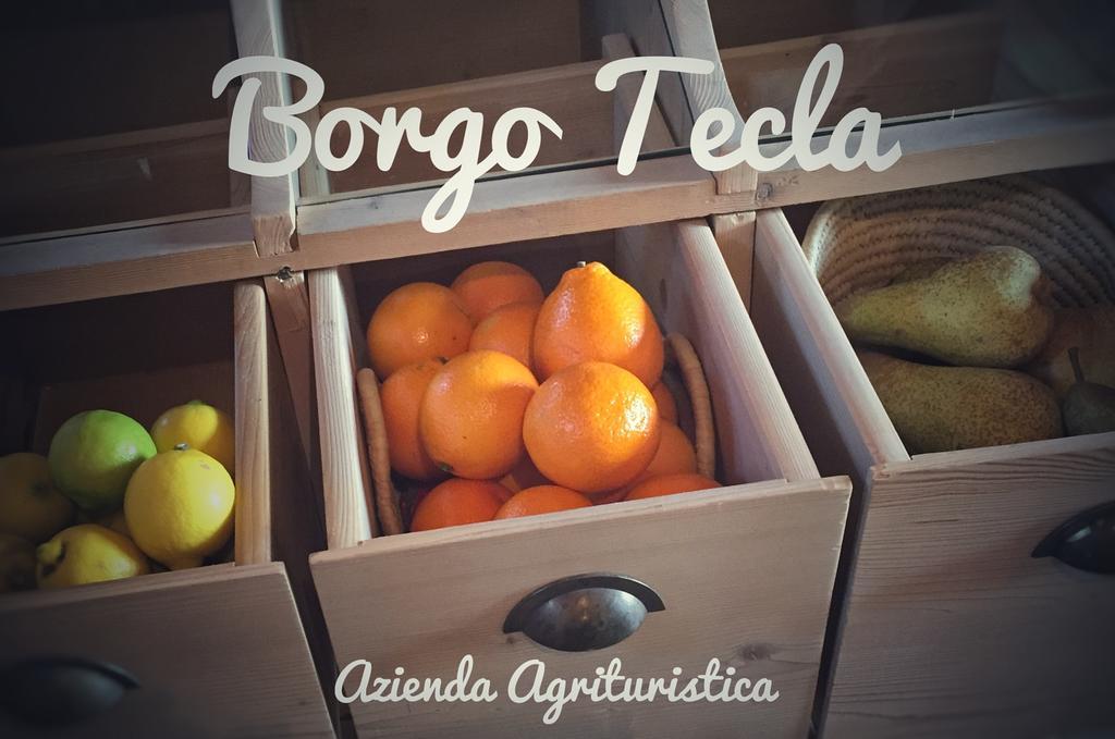 Agriturismo Borgo Tecla Rosa Екстер'єр фото
