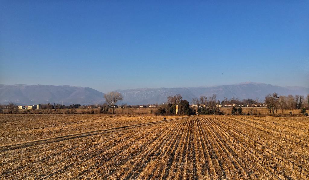 Agriturismo Borgo Tecla Rosa Екстер'єр фото