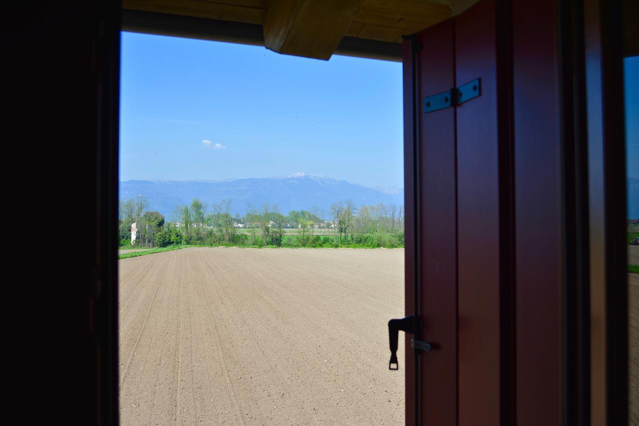 Agriturismo Borgo Tecla Rosa Екстер'єр фото