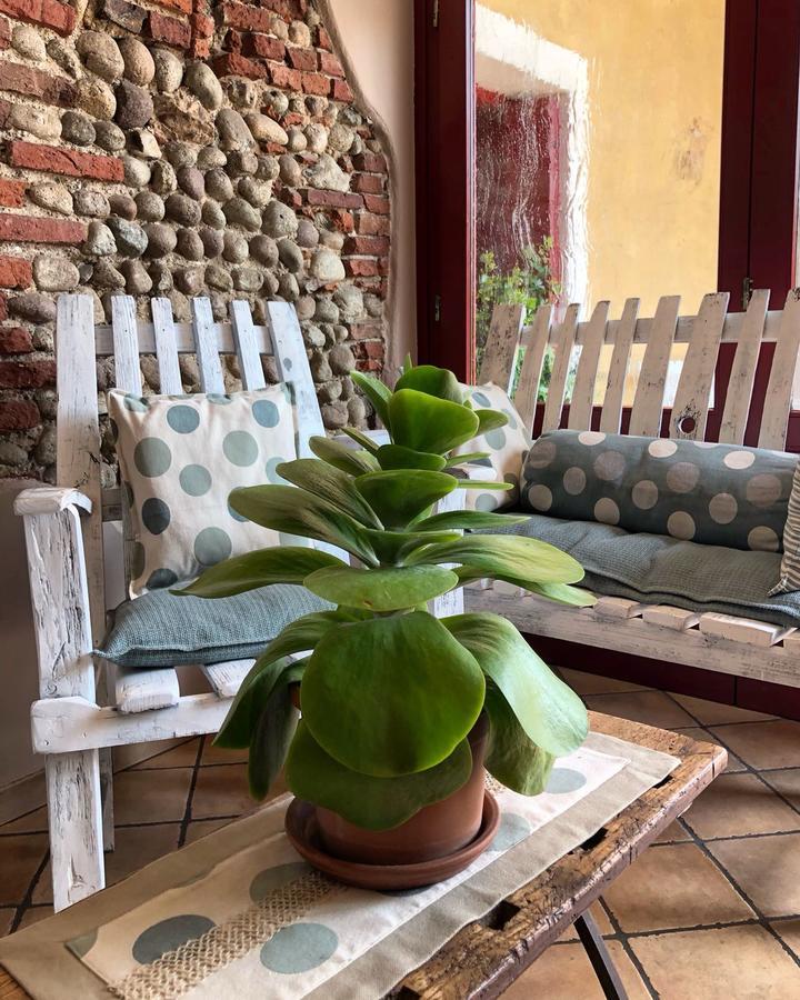 Agriturismo Borgo Tecla Rosa Екстер'єр фото